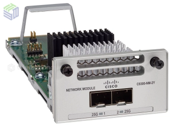 C9300-NM-2Y