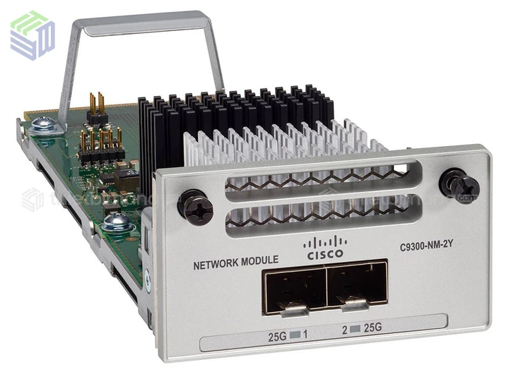 C9300-NM-2Y