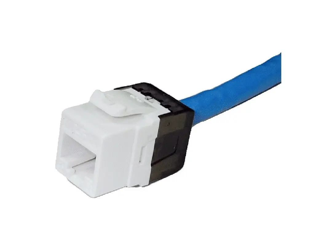 Nhân mạng Cat5e LS